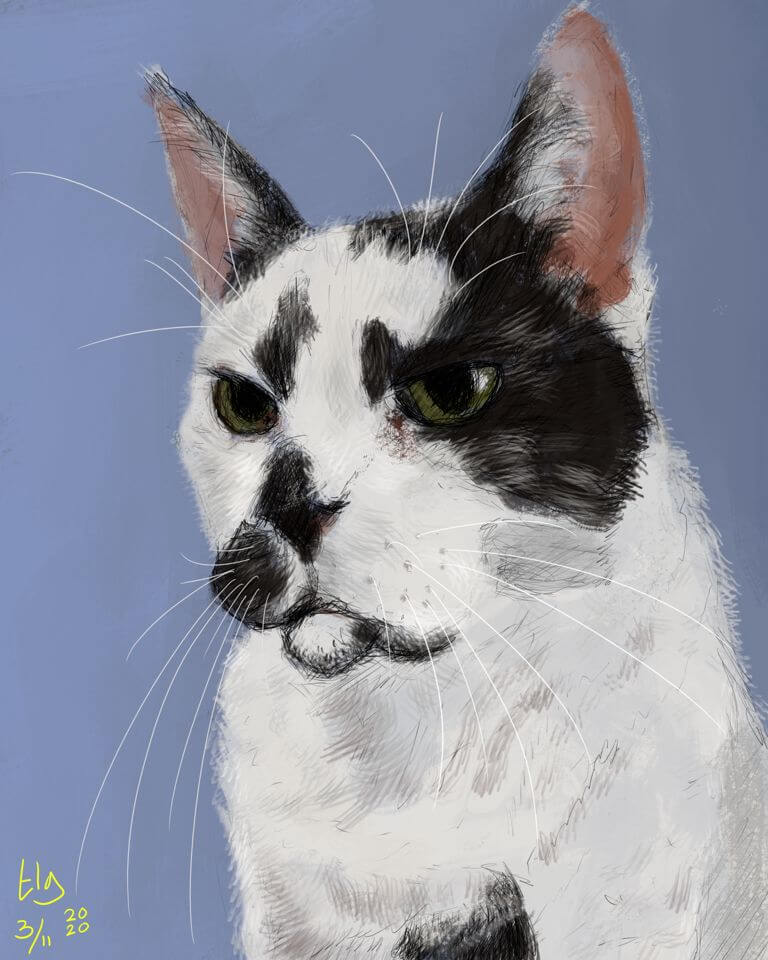 Painting of a big black and white cat. He has enormous whiskers!
