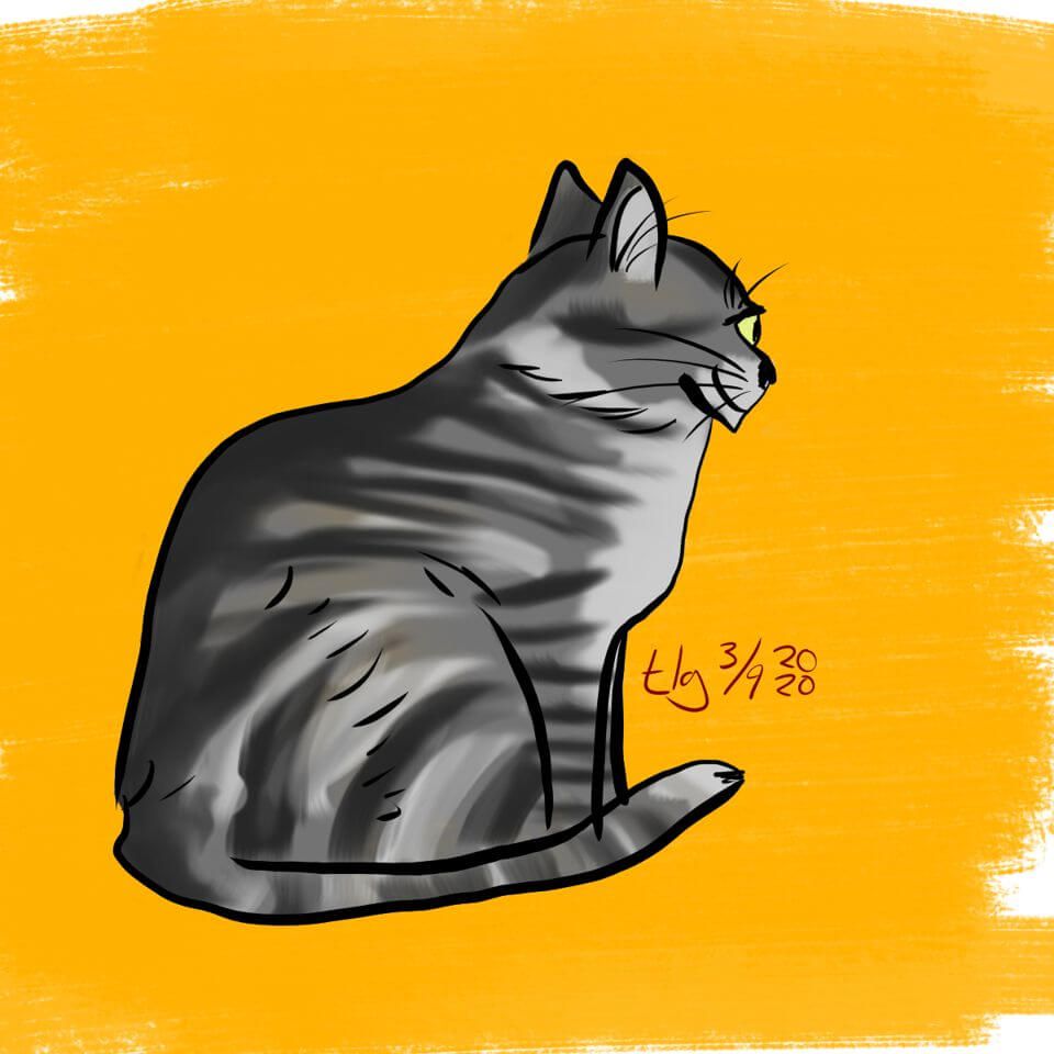 Gray tabby staring off into the distance. Seemingly smiling.