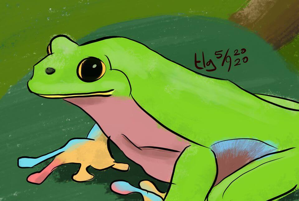 Painting of a frog sitting on a leaf.