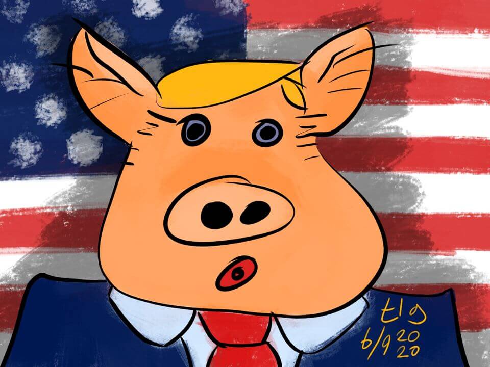 Drawing of Trump depicted as a pig standing in front of an American flag. Yeah.
